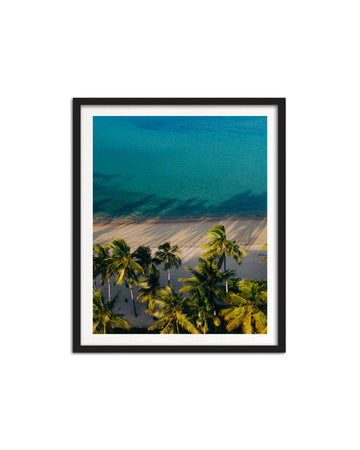 Tropics