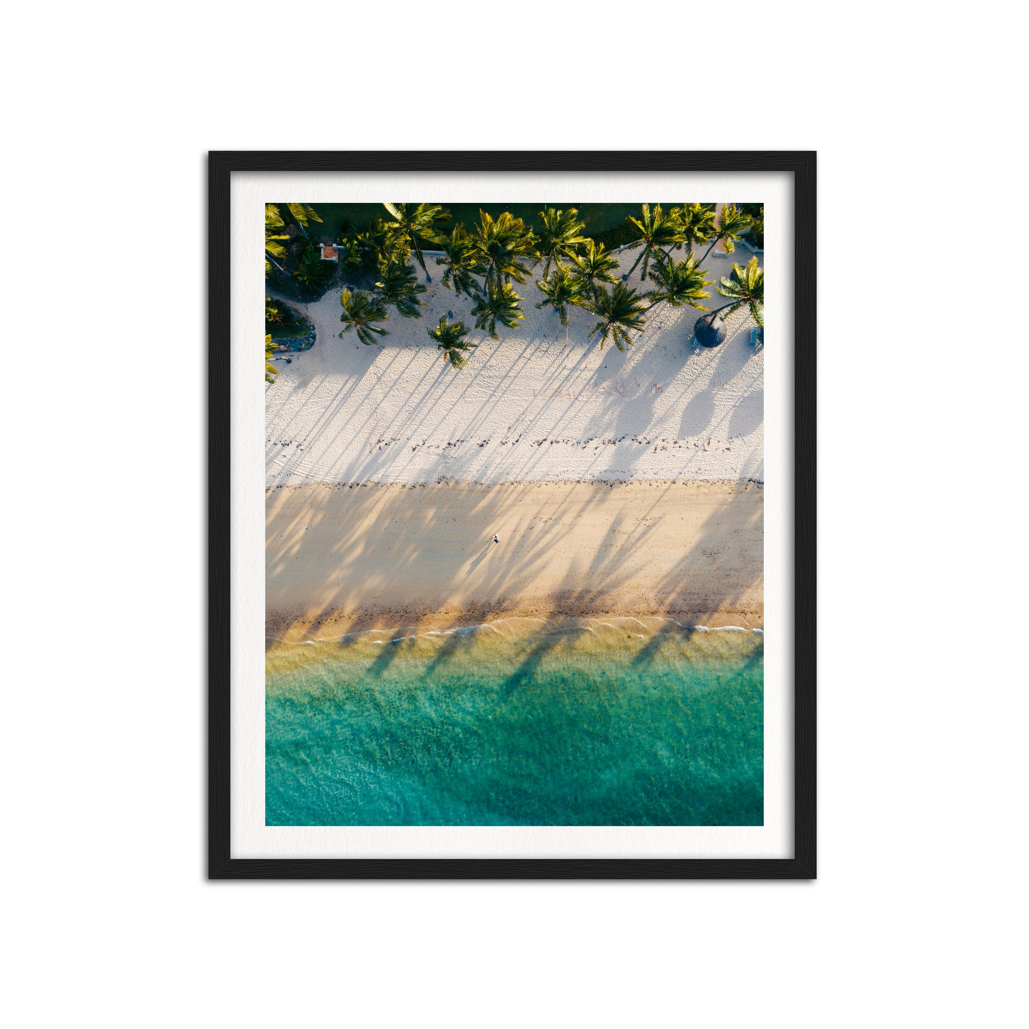 Palms